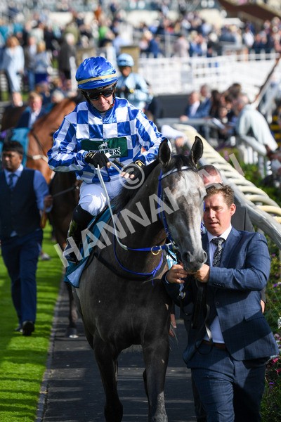 250823-Race 7-Silver Sword-1124 - Race 7 5.15pm Sky Bet Mile Handicap