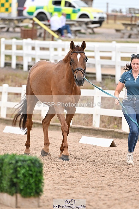 250716-160900-02451 - Trot Up 3.30 to 4.30