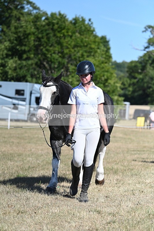 WJ7_1803 - Class 43 Best Six Legs (In hand)
