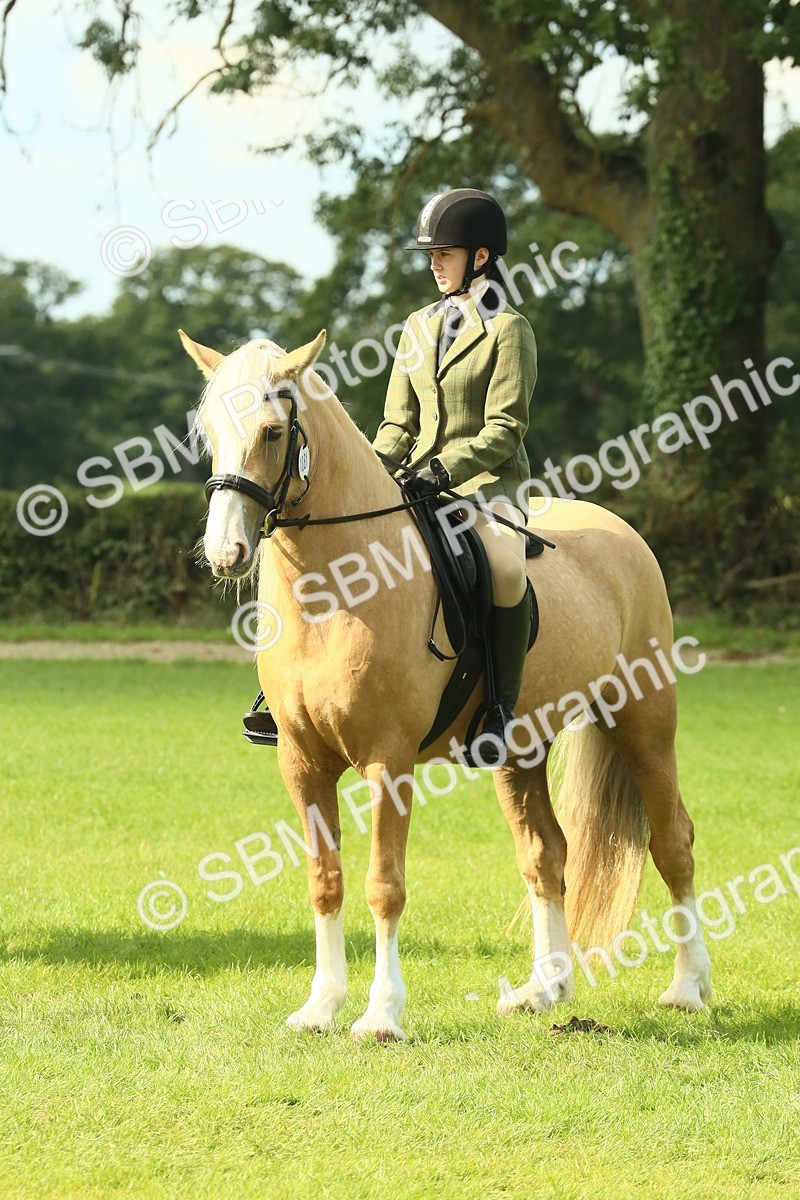SBM_62600 - S63 - Other Coloured Horse Ridden
