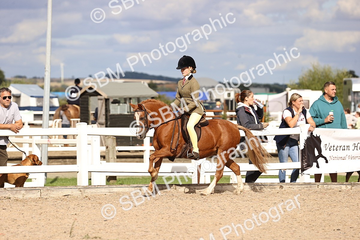 SBM_18044 - Class 422 - Equitation (Best Rider) Jnr
