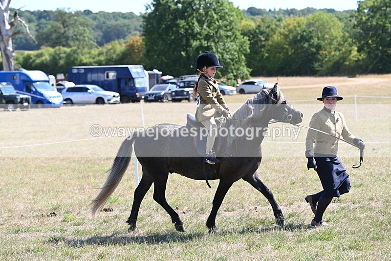 WJ6_7788 - Class 36 Lead Rein