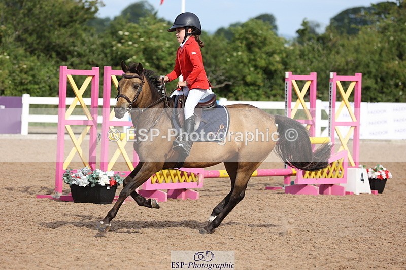 240629A-084802-02725 - Cls 16 British Novice and 80cm Open