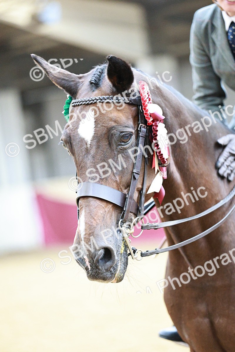 SBM_02312 - Class 4A - Area Ridden Diamond