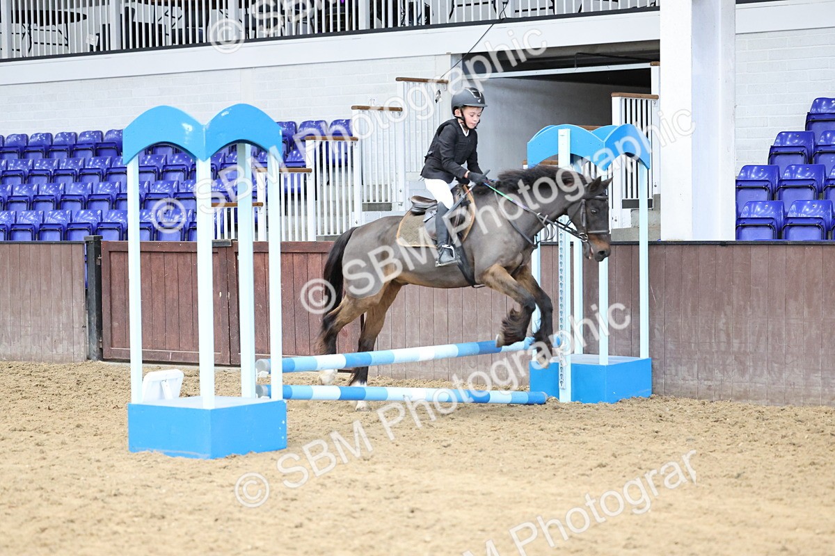 SBM_007408 - Class 2 - 50cm showjumping