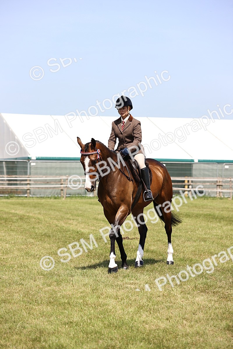 SBM_14942 - Class 78 - LIHS BSHA Open Racehorse & Show Horse