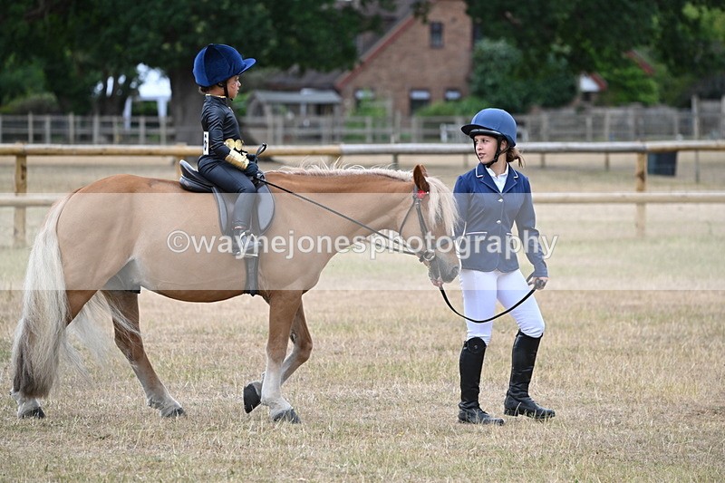 WJ6_8812 - Class 11 Fancy Dress