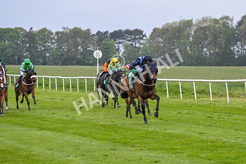 160526-Rcae 8-Run This Way-0203 - Race 8 5.57pm Sky Bet Build A Bet Handicap