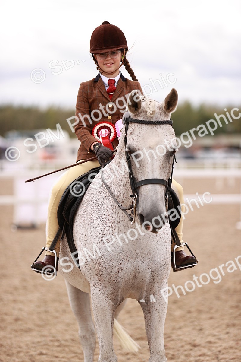 SBM_18599 - Class 421 - Childs Best Friend - Jnr