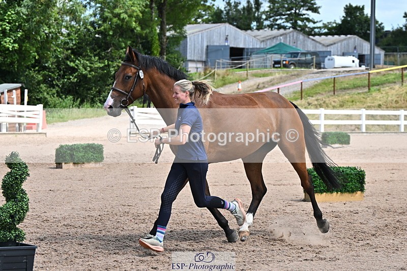 240718A-105257-01379 - Trot Up 12pm to 1pm