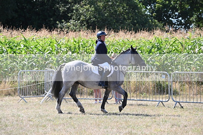 WJ6_8904 - Class 38 Ridden Riding Horse/Pony