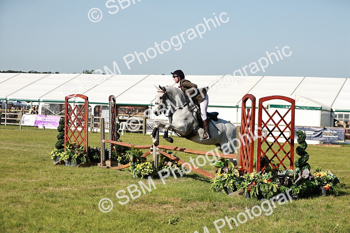 SBM_19176 - Class 115-116 - LIHS BSHA Rising Star Working Hunter & Show Horse