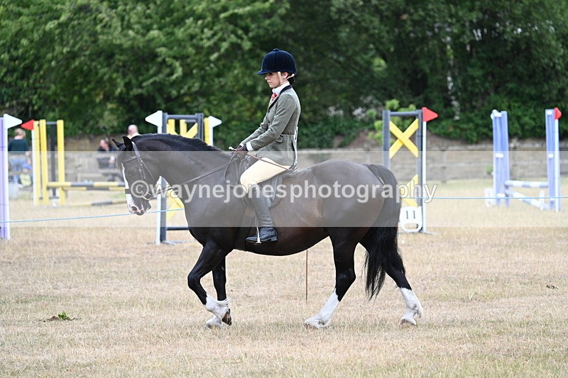 WJ7_0460 - Class 6 Ridden Mountain and Moorland