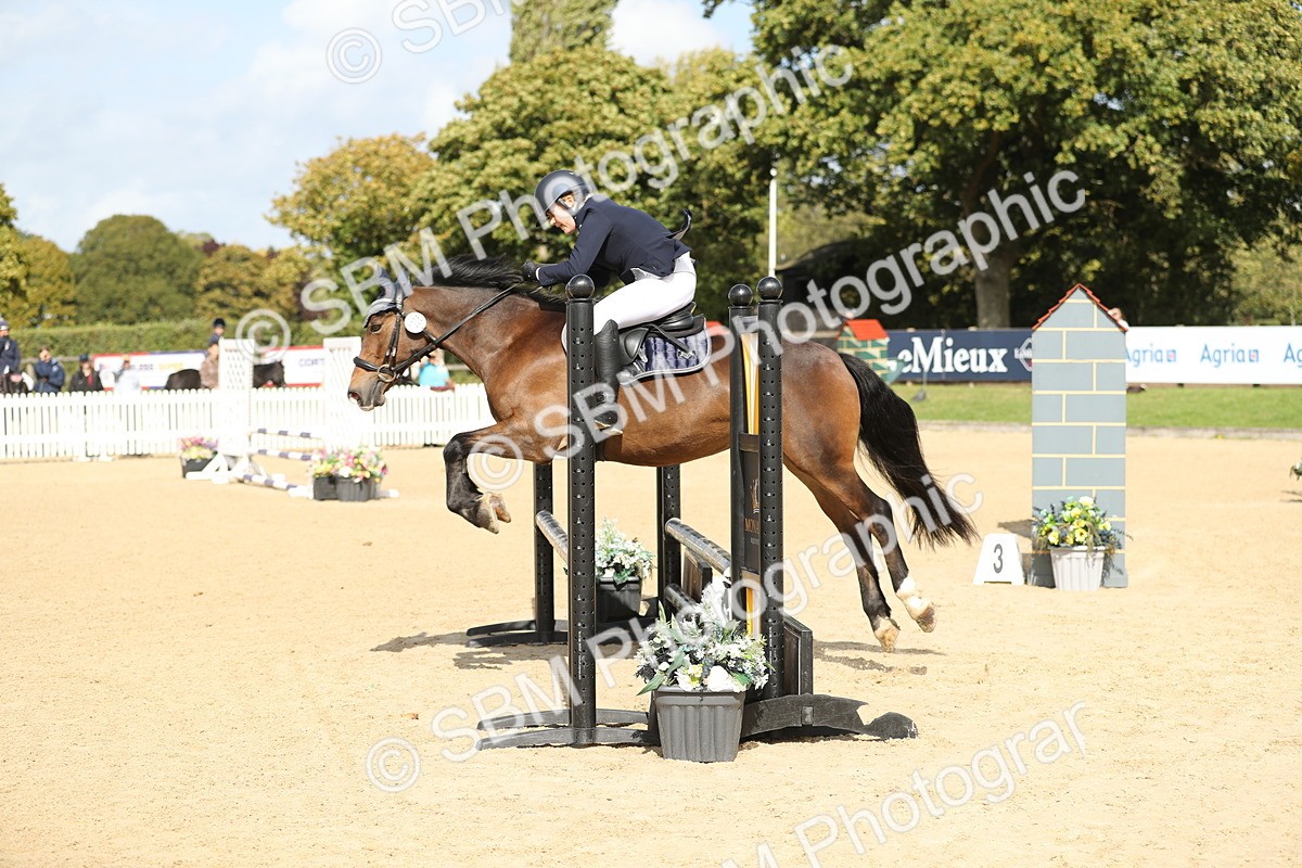 SBM_08473 - J30 - Senior Horse & Pony 70cm Championship
