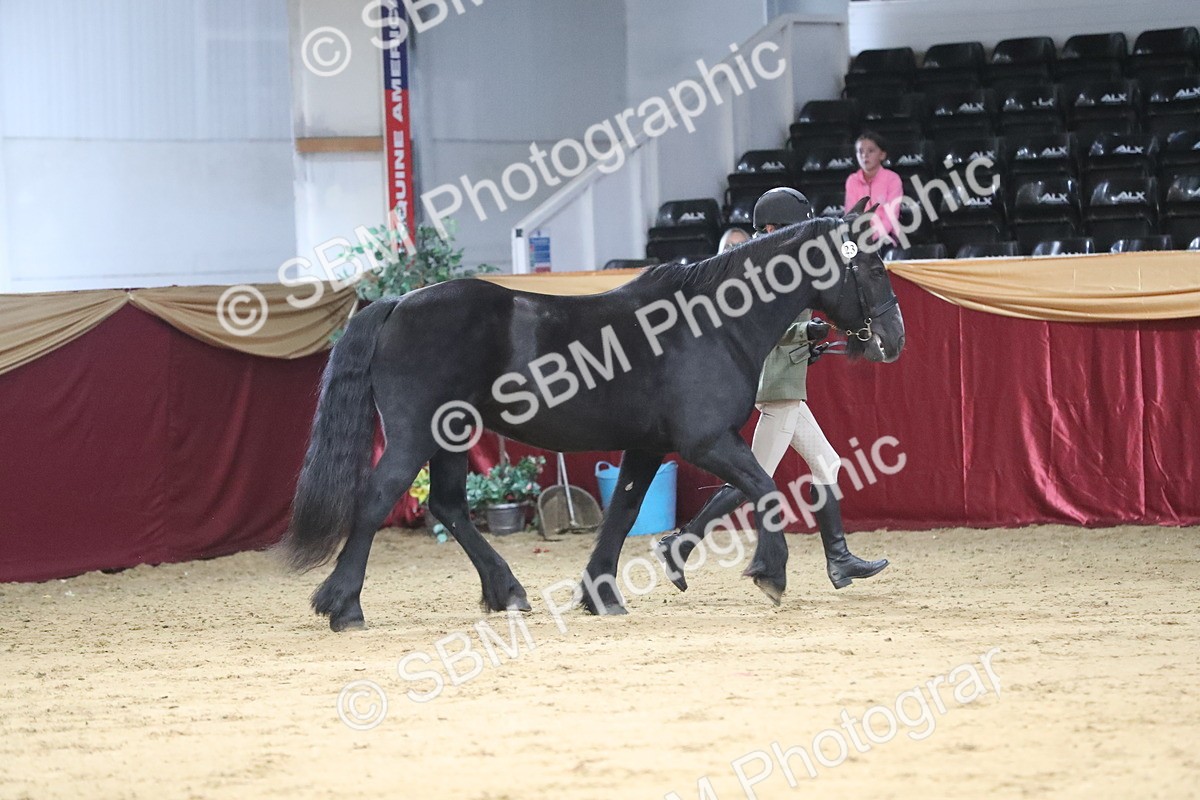 SBM_04970 - Class 8R- Regional -IH Veteran