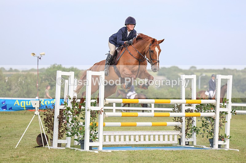 3E7A0865 - Class C: Showjumping Senior Foxhunter