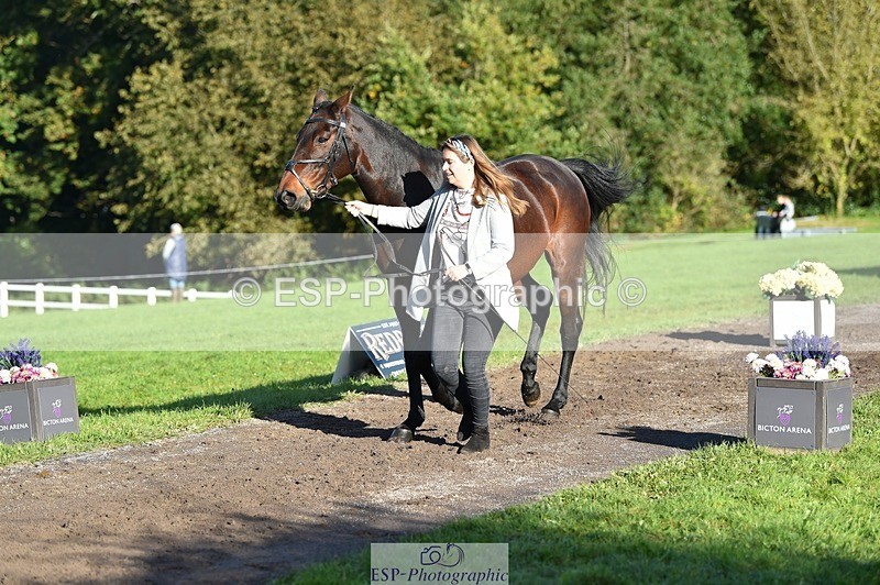 231022-101128-22292 - 503-JAGUAR.MAID-Isobel.Lole-TrotUp+SJ