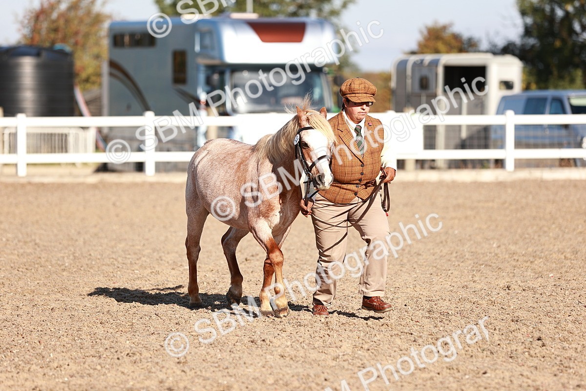 SBM_11435 - Class 402 - IH  Veteran pony