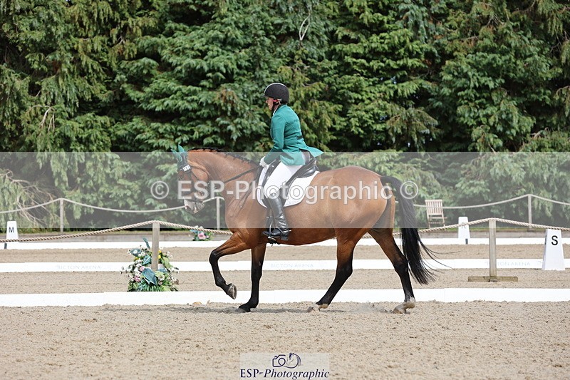 250718A-153058-02590 - 152-Tracy.OKennedy-Wylye.Harlequin