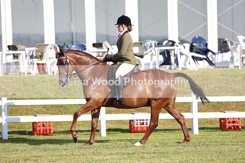 3E7A5004 - Class 1: Rising Star Small Hack/Riding Horses