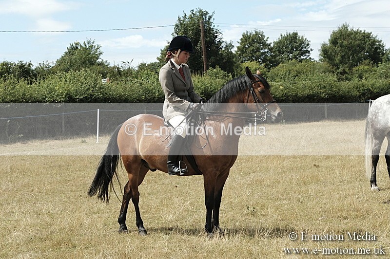 _PJP5989 - BVRC Show 2018 Ring 1