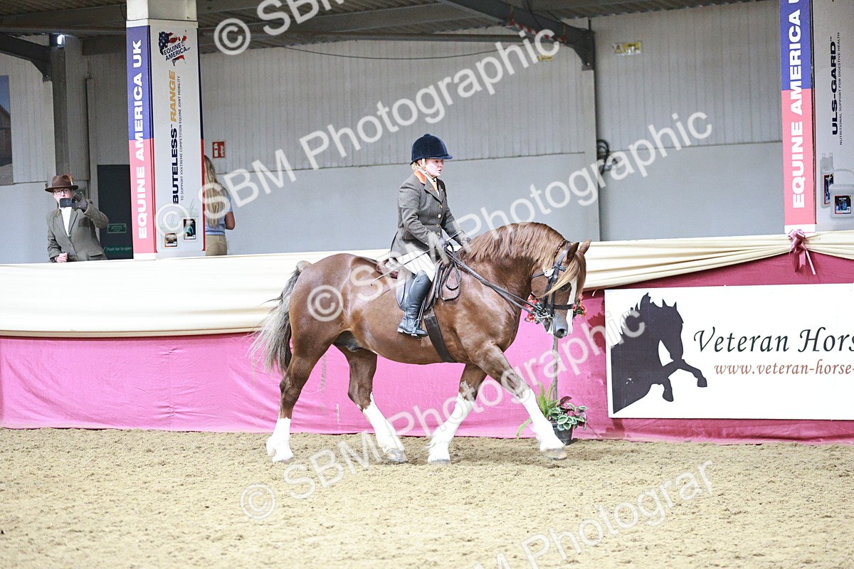 SBM_08764 - Class 12R - Regional Ridden Pre-Vet