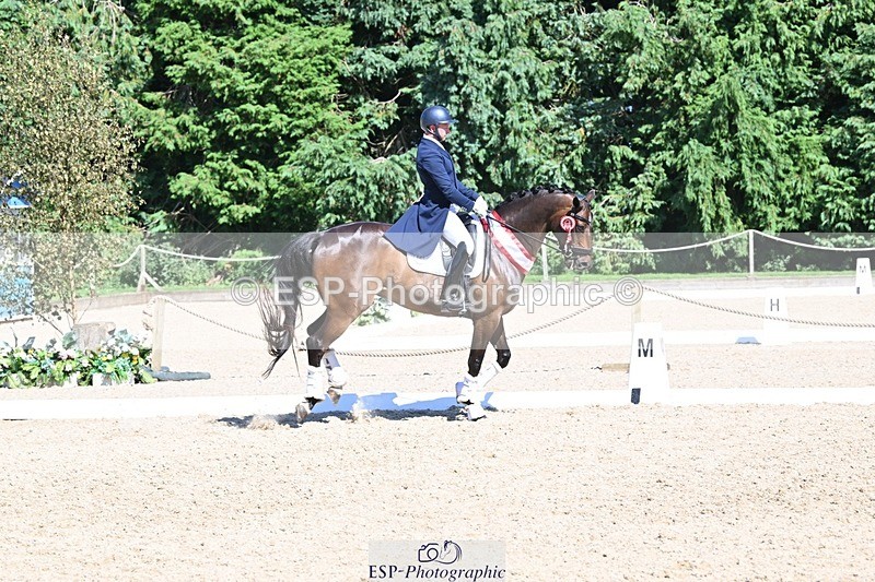 240811-154522-06831 - Inter I Silver