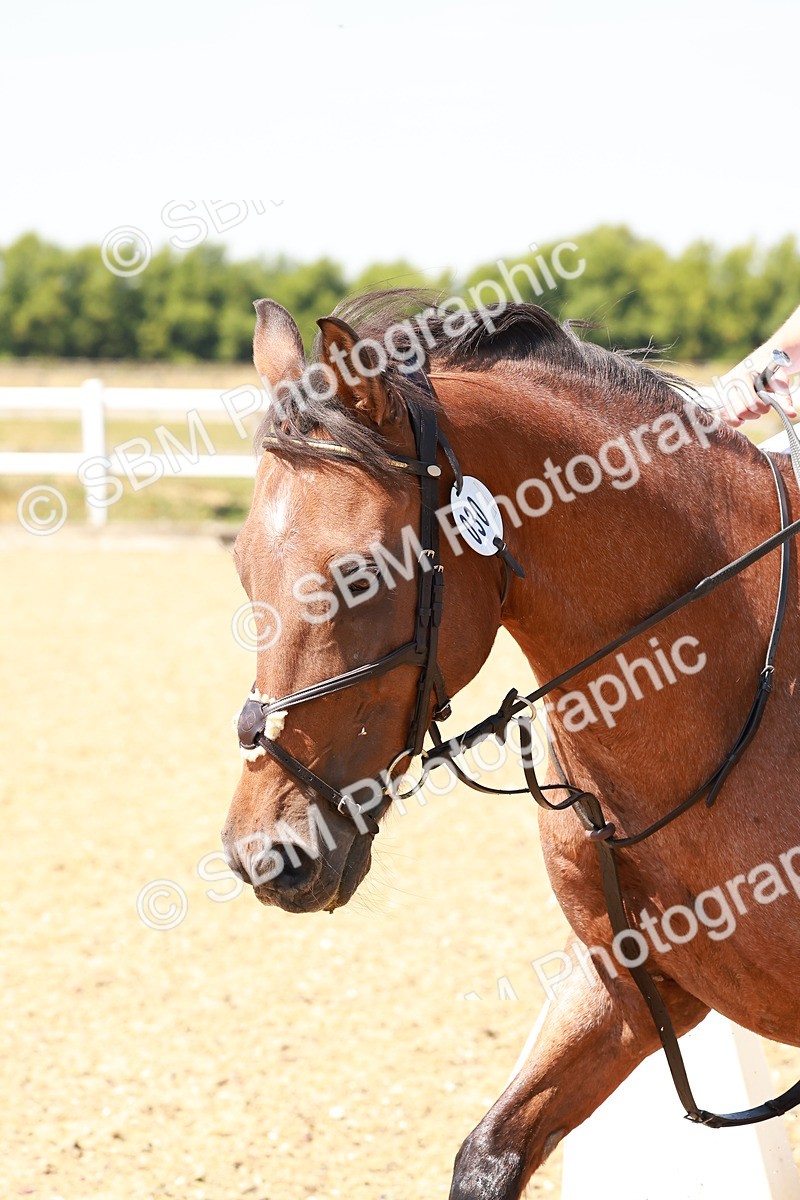 SBM_002672 - AE - 70cm