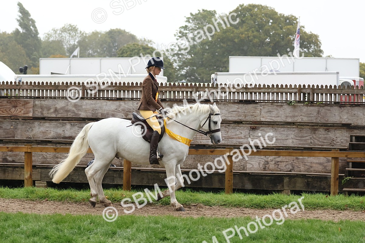 SBM_73104 - Ridden Pony Supreme Championship