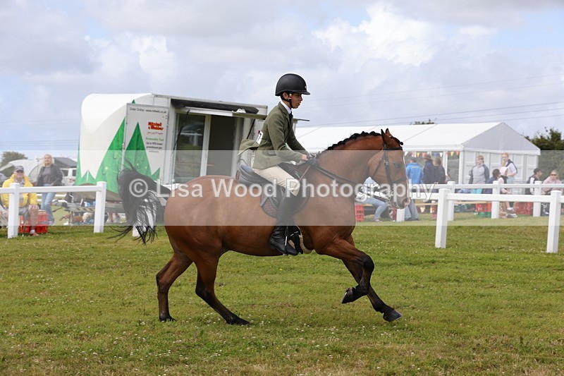 1X9A4051 - Class 32: Show Hunter Pony 153cm and under