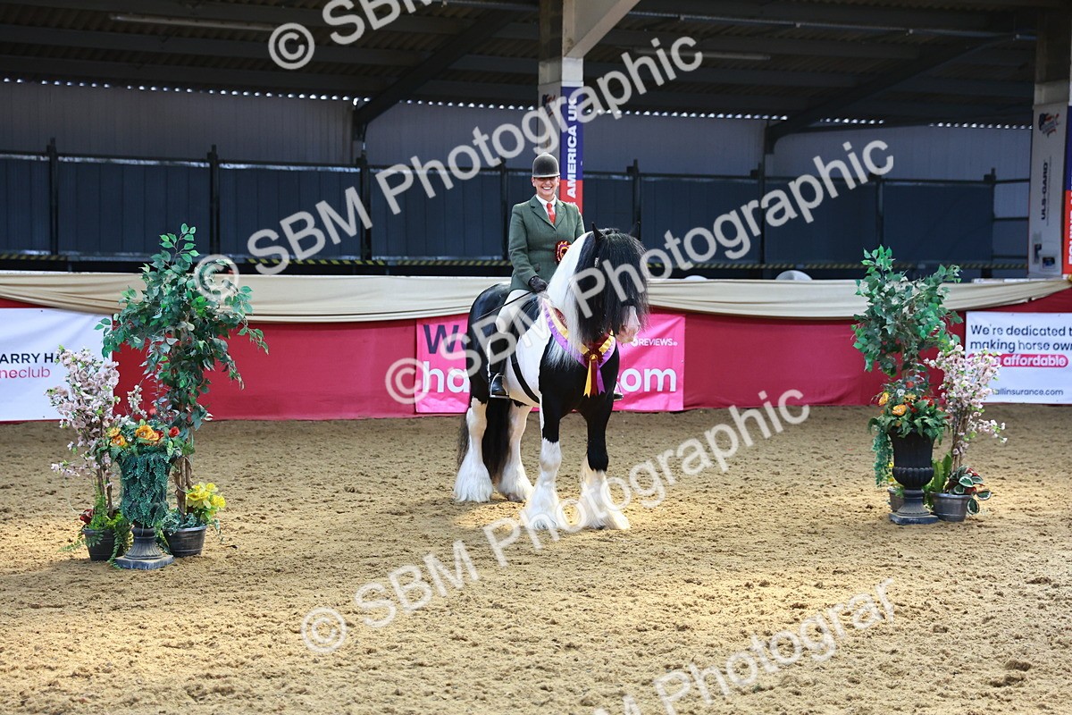 SBM_12773 - HOYS Veteran Qualifier - Ridden Champ