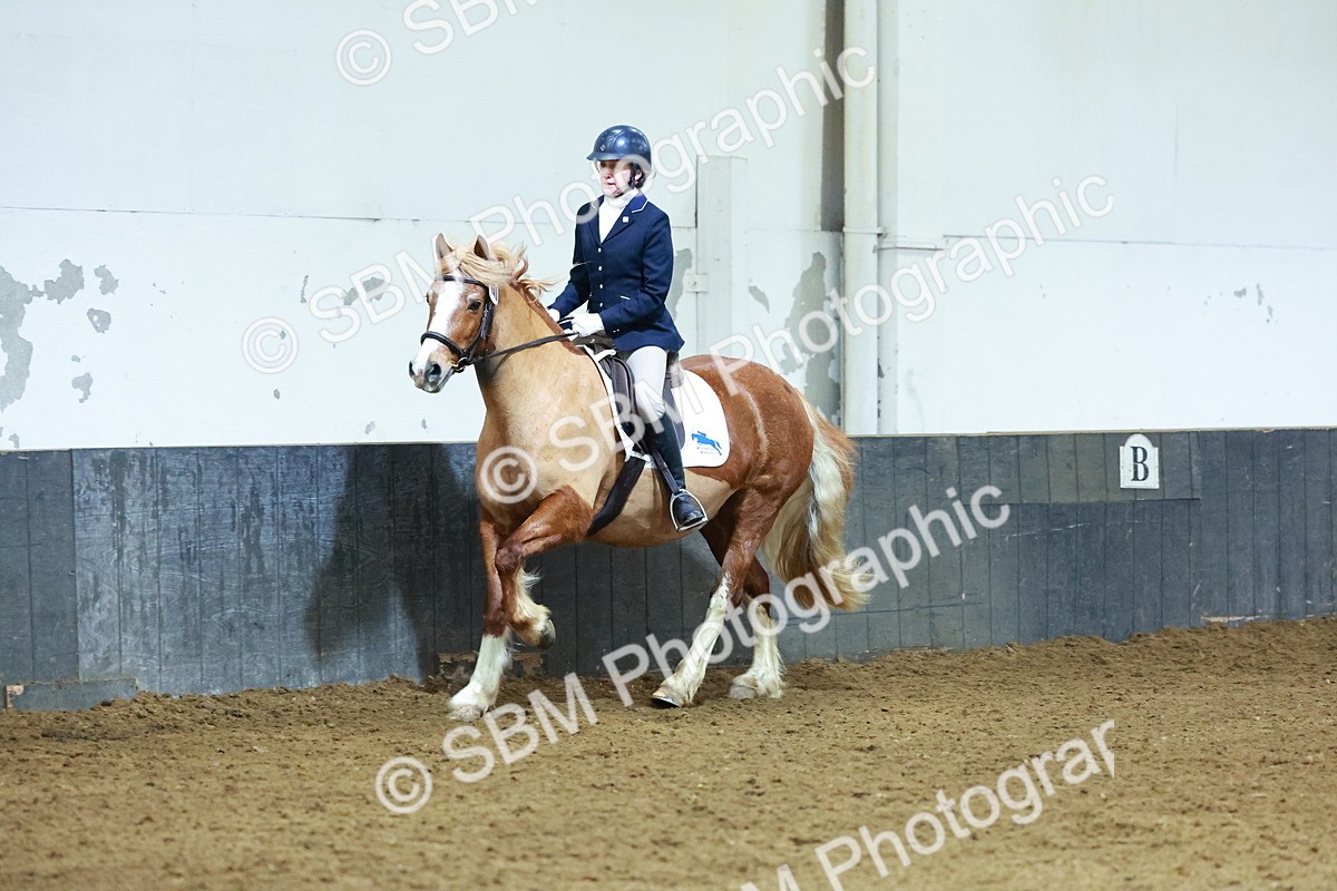 SBM_003659 - Novice 2