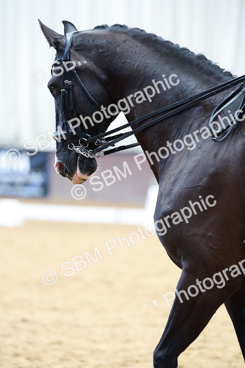 SBM_003502