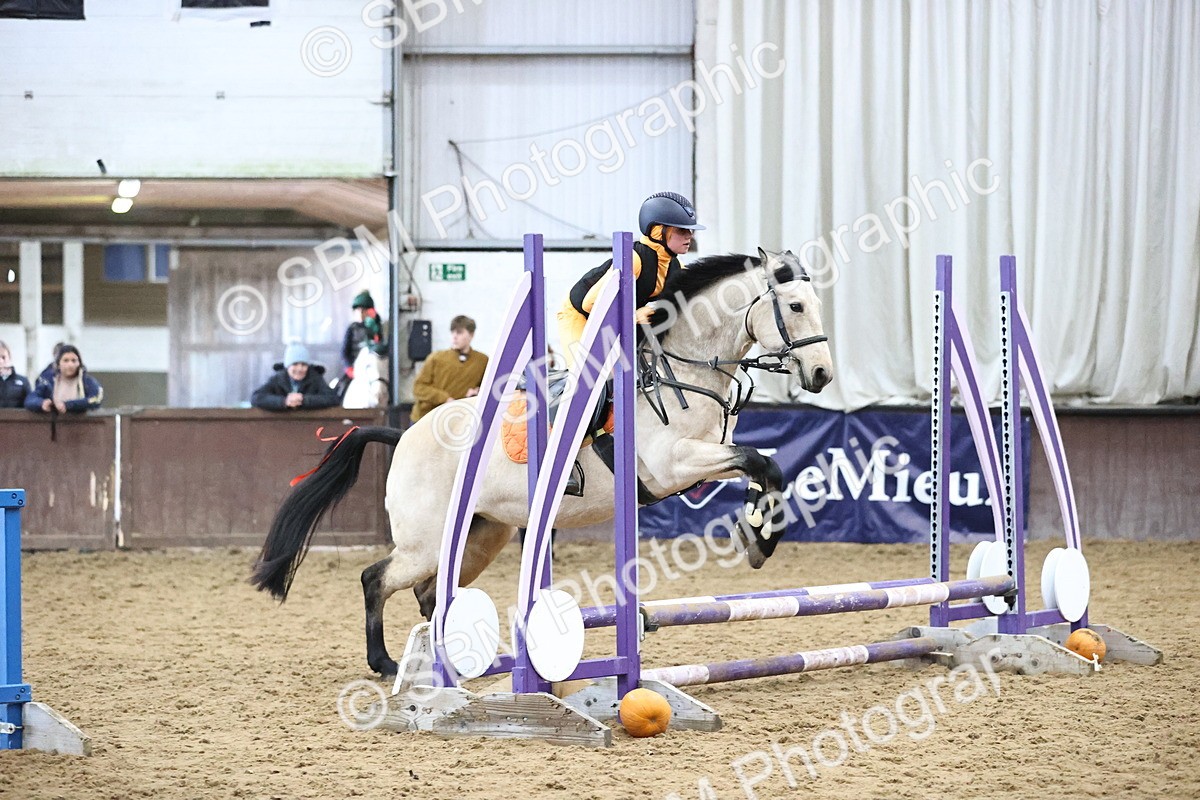 SBM_001235 - Class 3 - Horse & Hound 60cm
