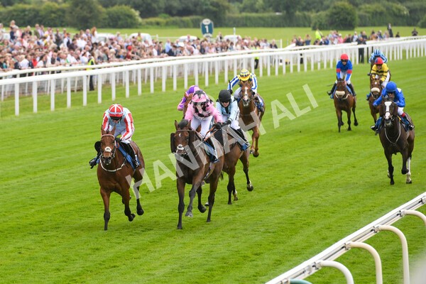 yr11062022r2-62 - Race 2 2.00pm Queen Mother's Cup