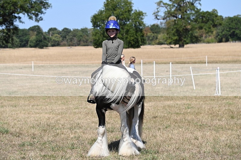 WJ6_9036 - Class 38 Ridden Riding Horse/Pony