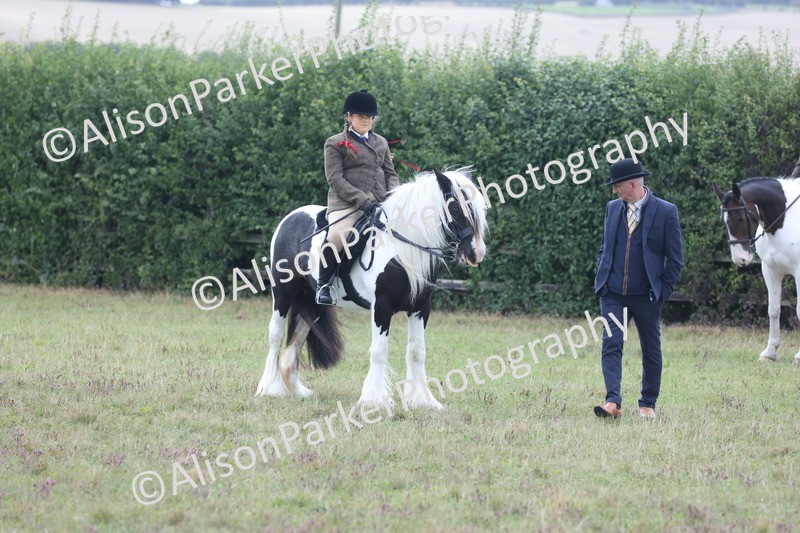 20250831-4327 - Class 20 - Ridden Coloured