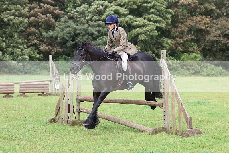 3E7A5812 - Class 26 and 27: 70cm Working Hunter