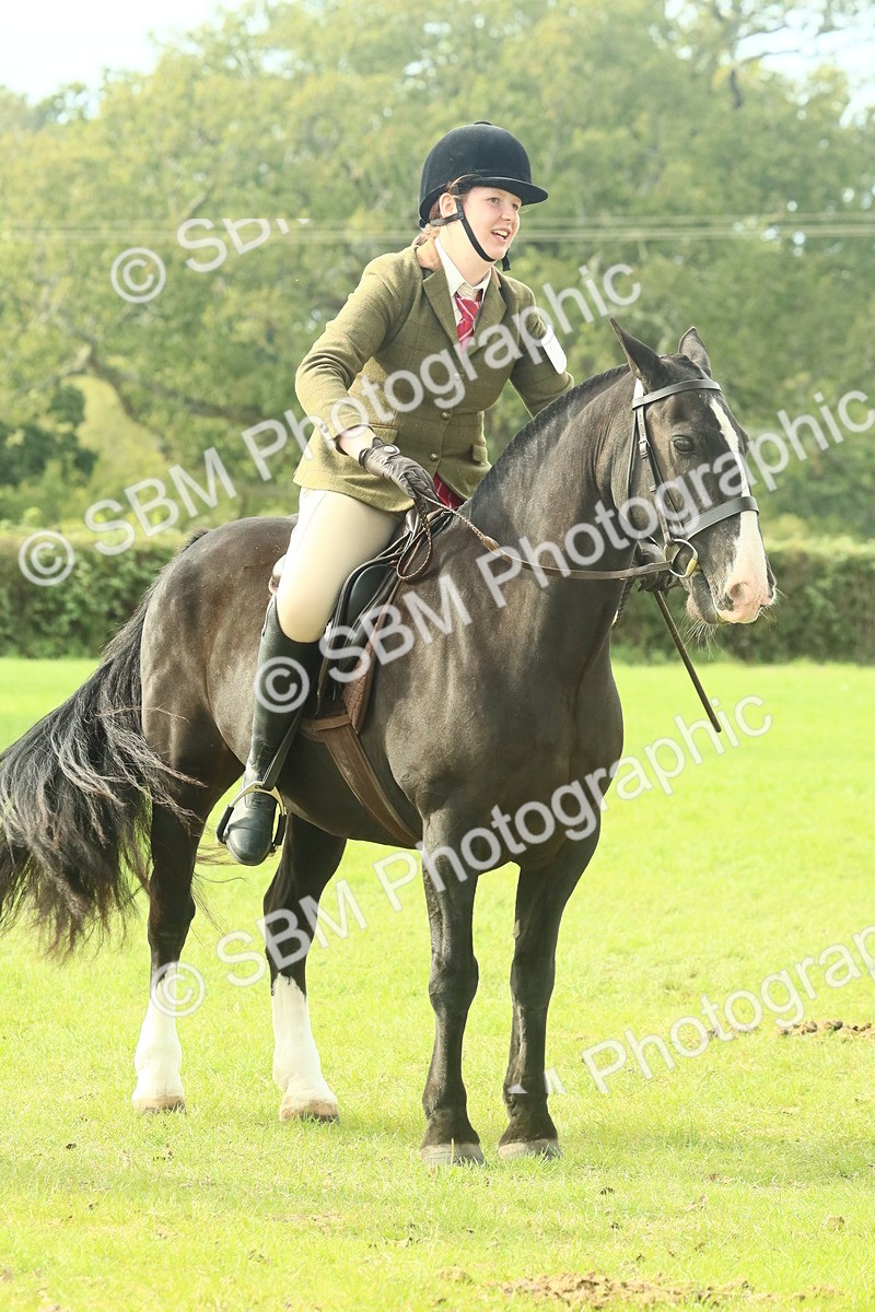 SBM_69376 - S58 - Mini Show Cob Ridden