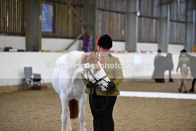 WJ5_4039 - Class 2 Best Condition In hand