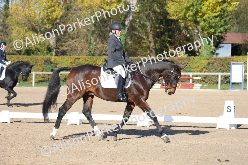 20251102-0506 - Class 3 - Novice 5