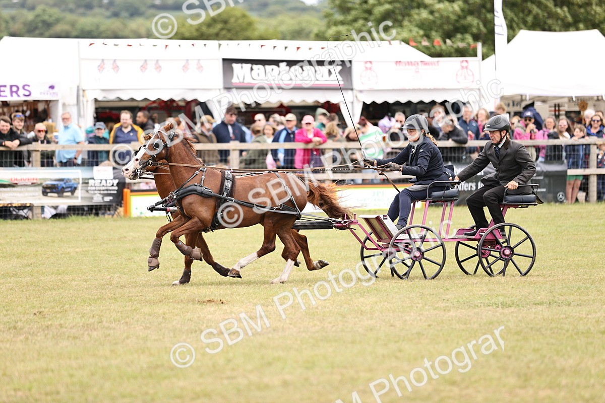 SBM_15255 - Class 90 - Scurry 122cm and Under