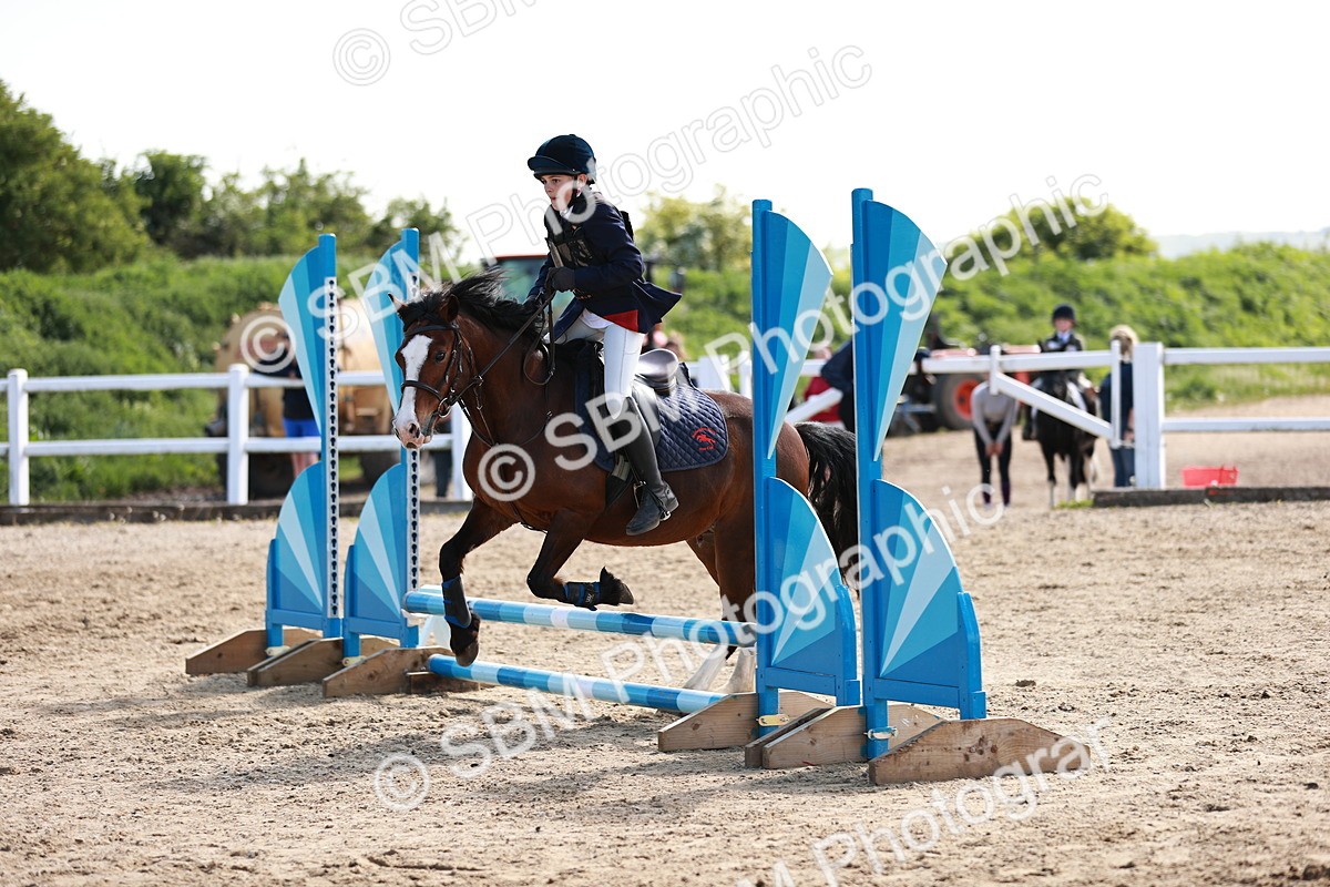 SBM_006908 - Class 2 - 50cm