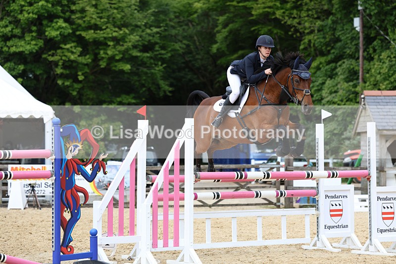 3E7A7601 - Class 8: Senior Foxhunter/1.20 open