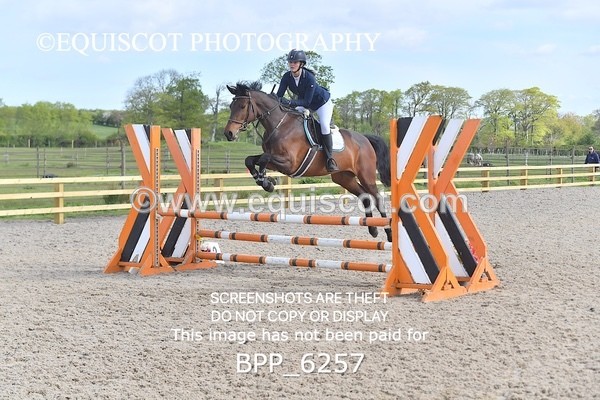 BPP_6257 - CLASS 32 MON Club/ Unaffiliated 80cms Open