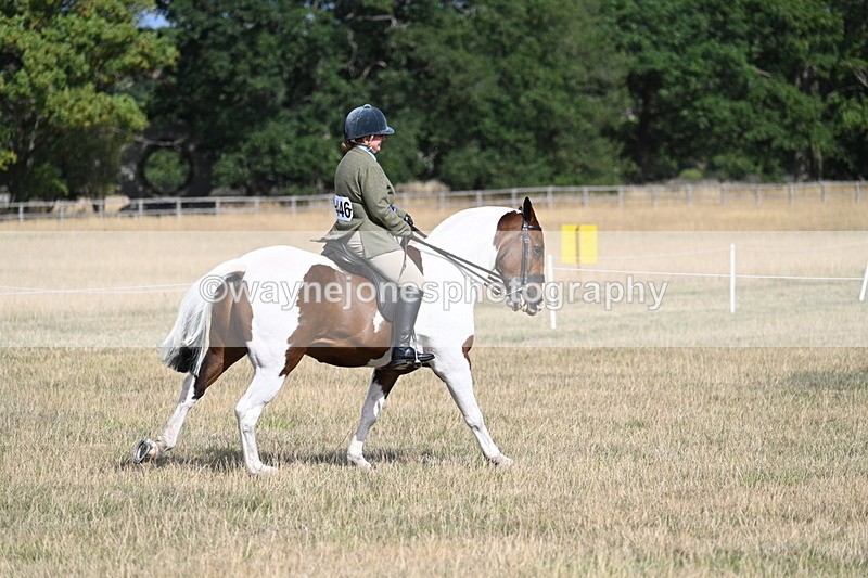 WJ7_7436 - Class 14 Ridden Coloured