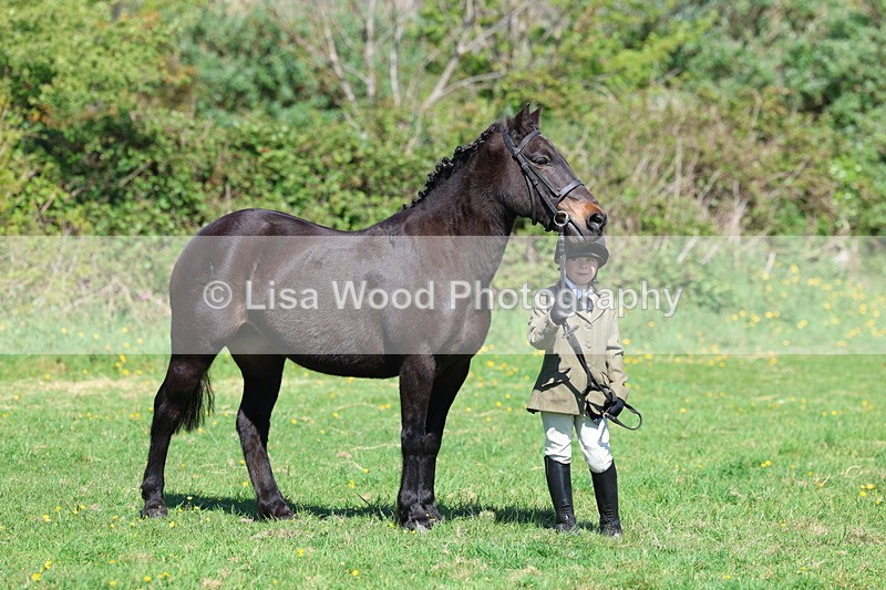 3E7A9869 - Class 17: Young Handler