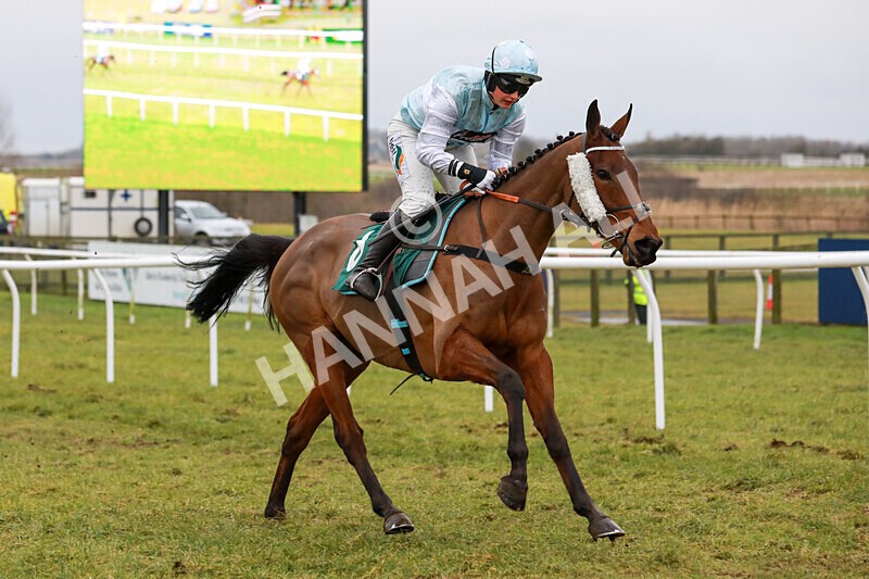 100225-Race 1-Tigerbythetail-5590 - Race 1