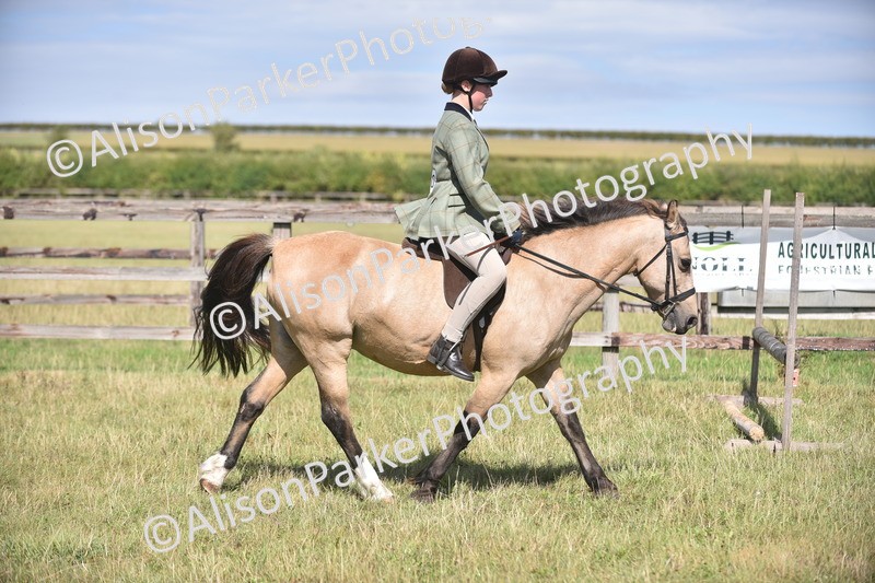 20260906-2654 - Class 12 - 14.2hh and Under