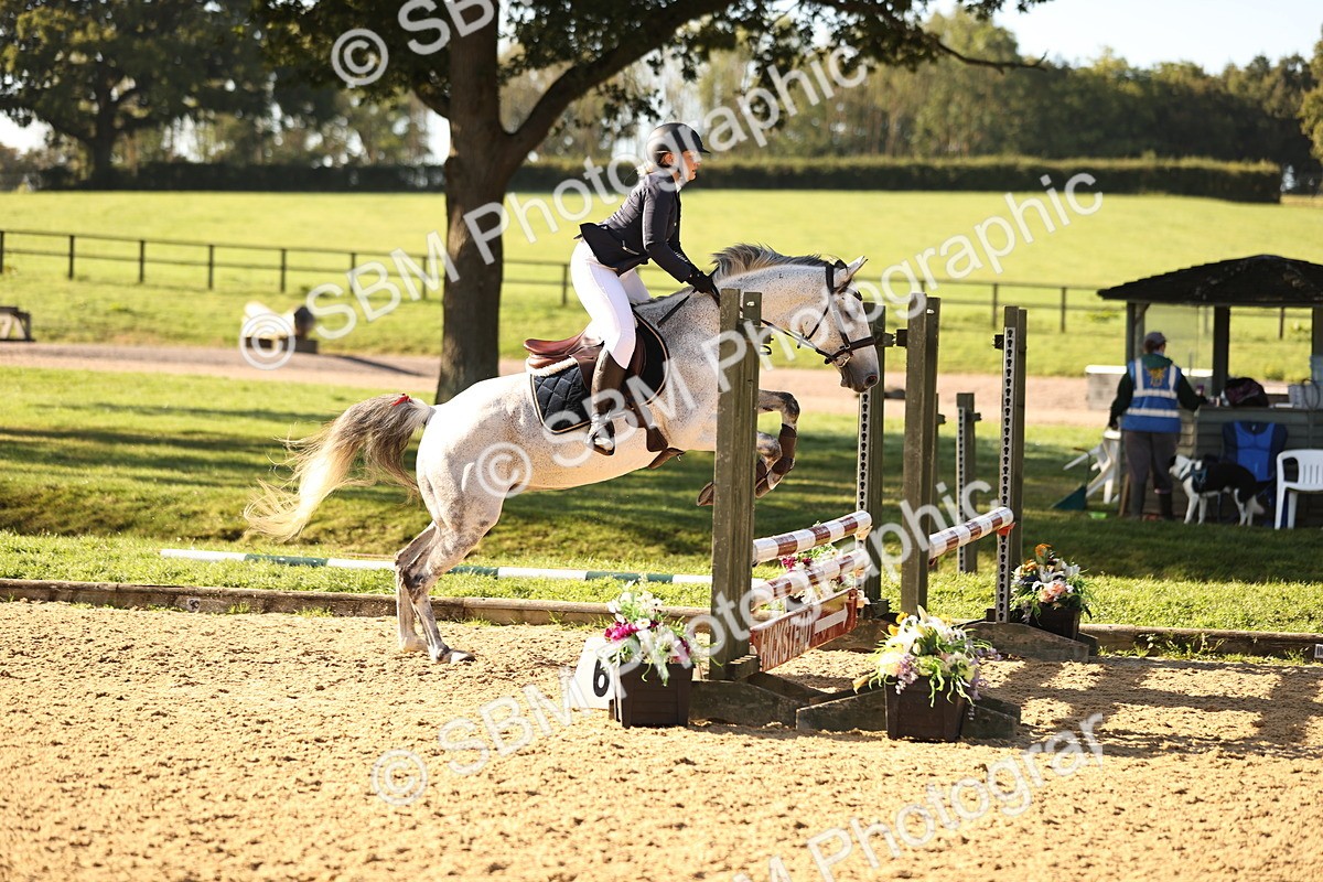 SBM_35104 - J38 - Senior 80cm Championship